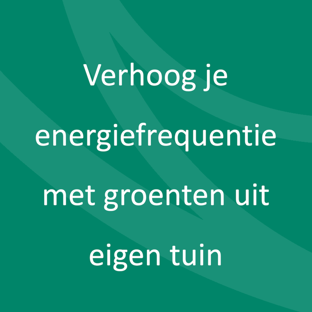 Verhoog je energiefrequentie met groenten uit eigen tuin