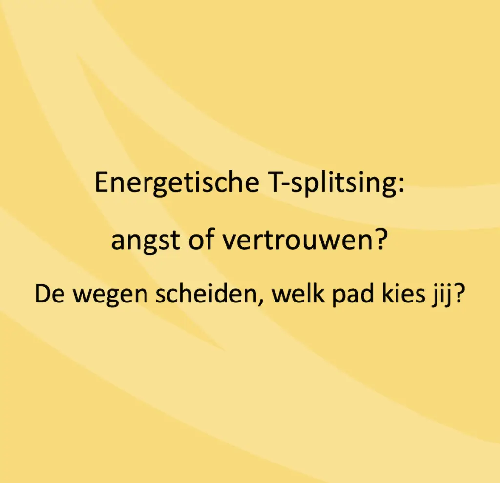 Energetische T-splitsing: angst of vertrouwen? De wegen scheiden, welk pad kies jij?