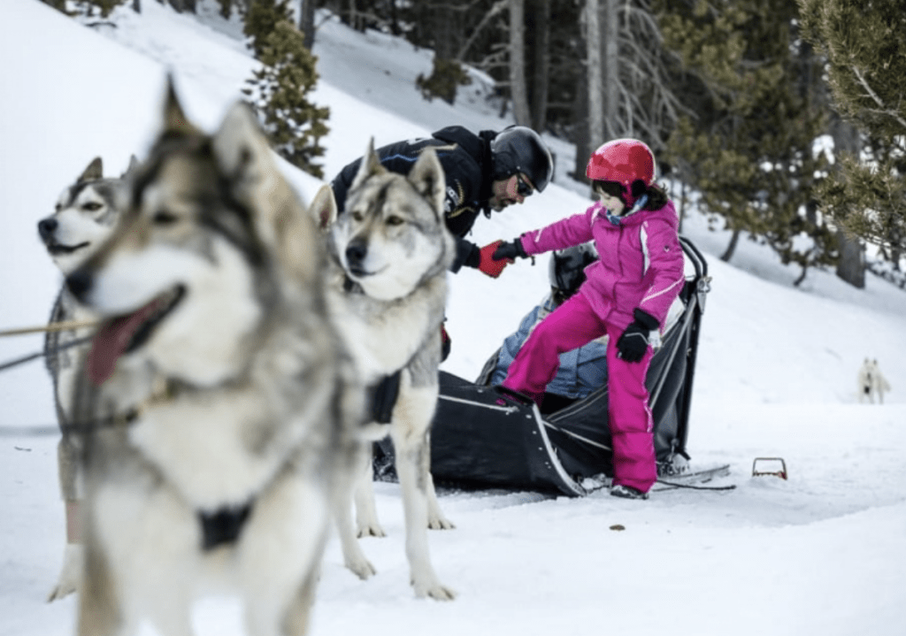Sledding with husky dogs. Man helps girl in the sled. 50 minutes from Linya you can do Husky sledding.