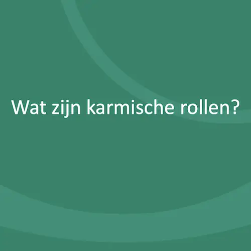 What are Karmic Roles?