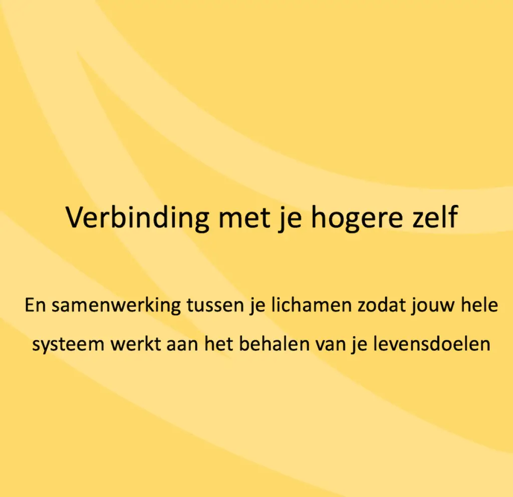 Verbinding met je hogere zelf. En samenwerking tussen al je lichamen zodat jouw hele systeem werkt aan het behalen van je levensdoelen.